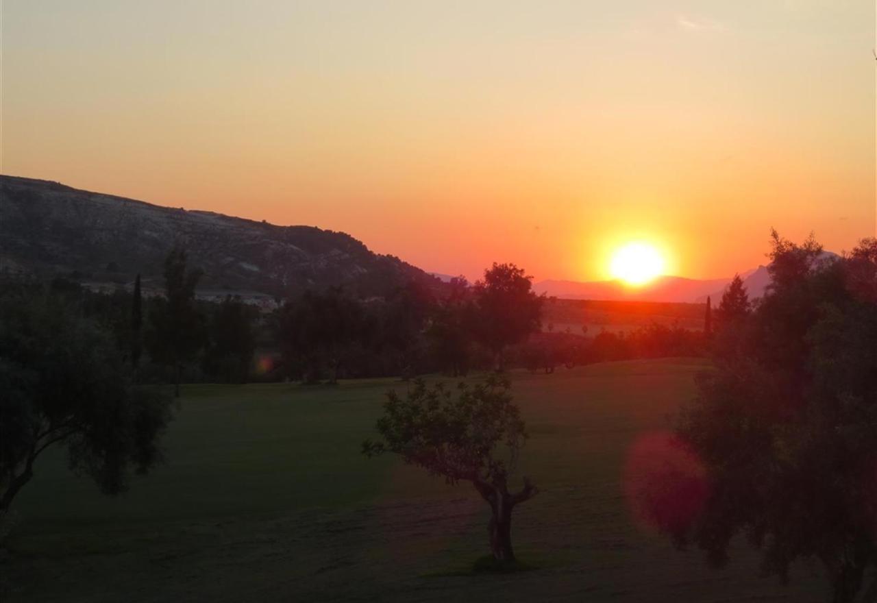 אלגורפה Modern Villa Frontline Golf מראה חיצוני תמונה